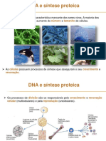 DNA e síntese: descoberta do material genético