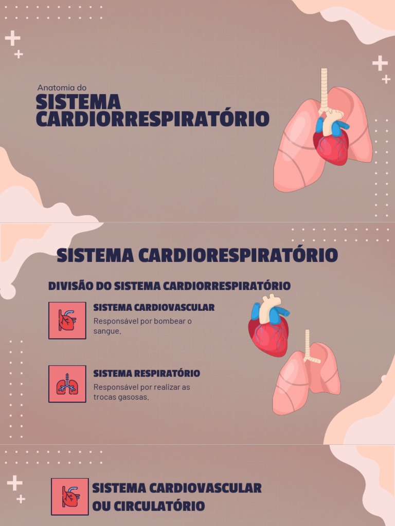 Sistema Cardiorrespiratório Débora | PDF | Sistema circulatório ...
