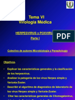 Herpesvirus. Parte I