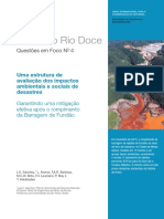 Rio Doce Panel Issue Paper 4 PT