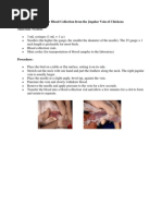 Veterinary Prescription Template Guide | PDF