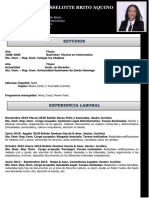 Curriculum Karina Brito PDF