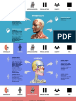 Anatomia Cabeza Cuello