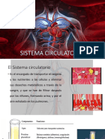 S19-Sistema Circulatorio