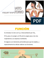 s18 - Organos Del Aparato Respiratoro