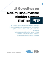 EAU Guidelines On Non Muscle Invasive Bladder Cancer 2022