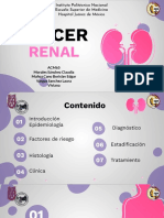 Cáncer RENAL-ACM65