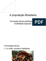 A população Brasileira