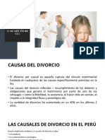 CAUSALES DEL DIVORCIO (Inc 1-13 Del ART