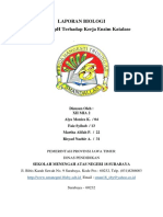 Laporan Biologi Enzim