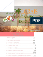 download-20337-download-20337-Ebook-Gratis-Fitoflorais-e-o-caminho-Da-Cura-127783-127844