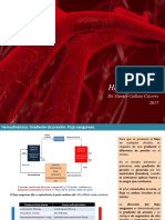 PDF de Hemodinamica