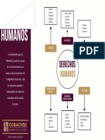 Derechos Humanos