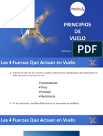 04-Principios de Vuelo