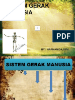 Sistem Gerak Manusia