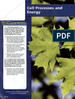 Cell Processes and Energy