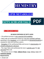 4 Fatty Acid and TAG Synthesis