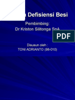 Anemia Defisiensi Besi