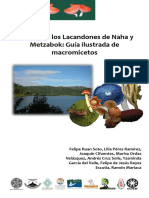 Guia Ilustrada de Macromicetos