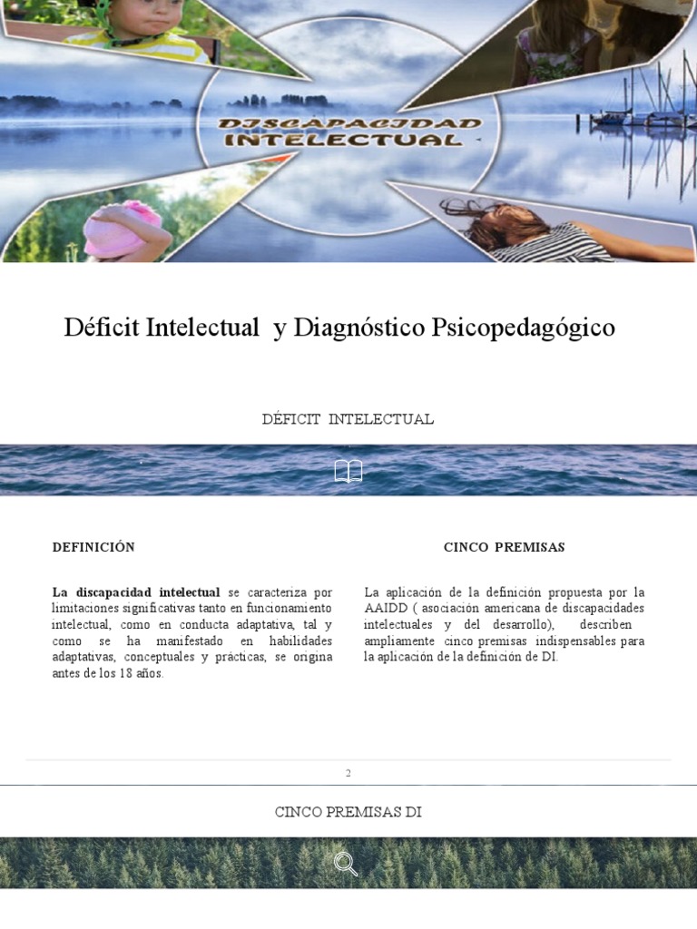 Deficit Intelectual | PDF | Discapacidad intelectual | Aprendizaje