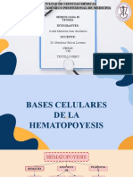 Bases Celulares de La Hematopoyesis