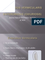 Enterobiusvermicularis 141030015759 Conversion Gate01