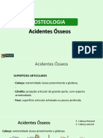 ACIDENTES +ôSSEOS - APLICAVET