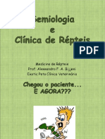 Semiologia e Clínica de Répteis - Alessandro F. A. Bijjeni