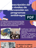 A. Descripción de Los Niveles de Intervención en Programas Antidrogas