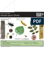 Forest Pest Poster BOHA 20101113 Simple