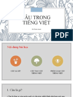 Luyện kỹ năng đặt câu tiếng Việt