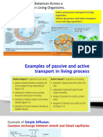 Active and Passive Transport in Living Organisms. Where Do Passive and Active Transport Occur in Living Organisms?