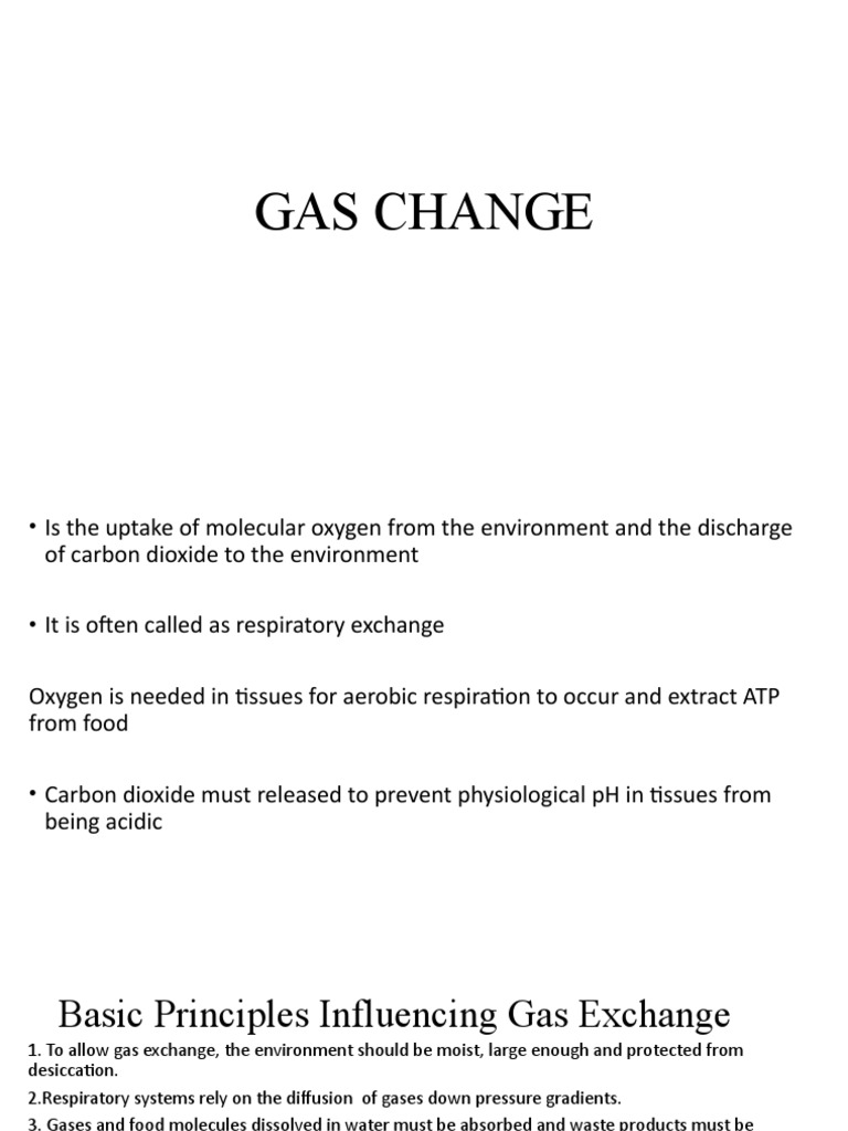 Gas Change | PDF | Stoma | Respiratory System