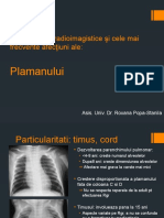 CURS 3 Respirator