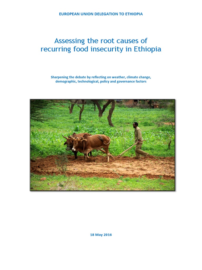 Root Causes of Food Insecurity in Ethiopia - Eud Paper | PDF | Food ...
