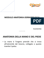 Anatomia Della Mano e Del Piede