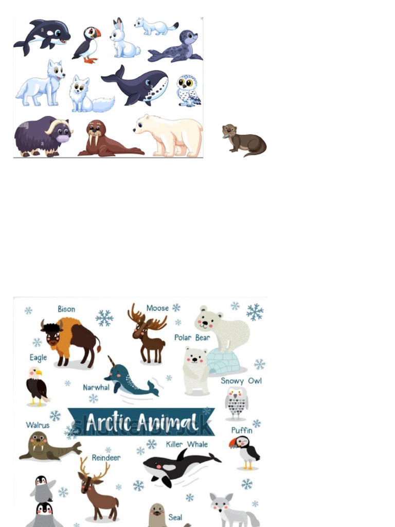 Arctic Animals | PDF