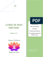 Curso de Reiki Usui Tibetano Nível I e Ii