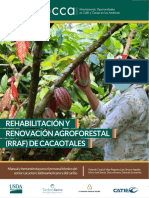 Manual de Rehabilitación y Renovación Agroforestal de Cacaotales