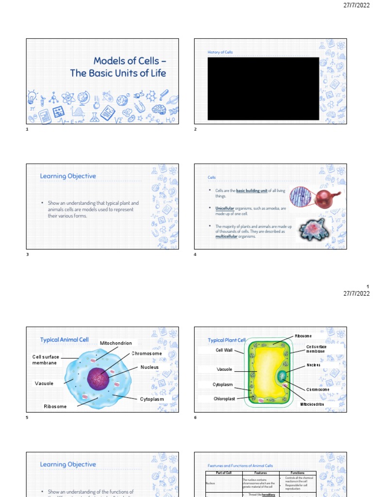 Chap 6 Cells Powerpoint Slides | PDF | Cell (Biology) | Chloroplast