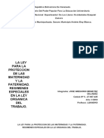 Informe Derecho Laboral. Jose Beneitez