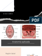 Aula 5 - Garganta