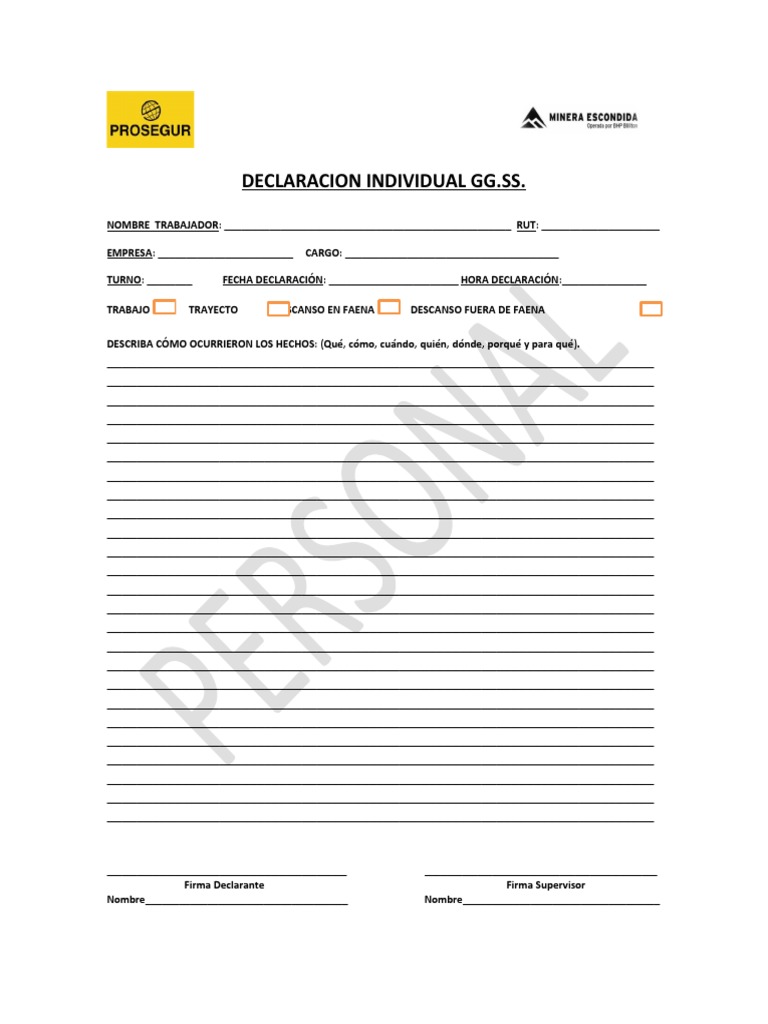 Declaracion Individual GG - SS | PDF