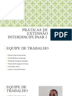 Práticas de Extensão Interdisciplinar I