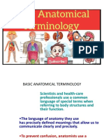 Lecture 4 - A&P - Basic Anatomical Terminology