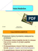 Kuliah 17 Mei 2022 (Asih Kurniawati) Metabolisme Senyawa N
