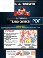 Tejido conectivo: sustancia intercelular y fibras