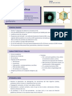 Adenovirus