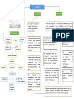 Absorción de La Glucosa Mapa