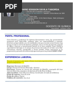 HOJA DE VIDA Docente Mario Davila 2022